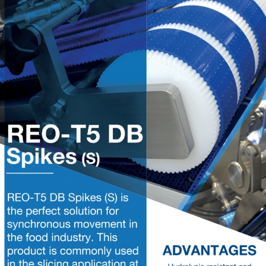 Reo Clean - T5 Spikes Document Icon